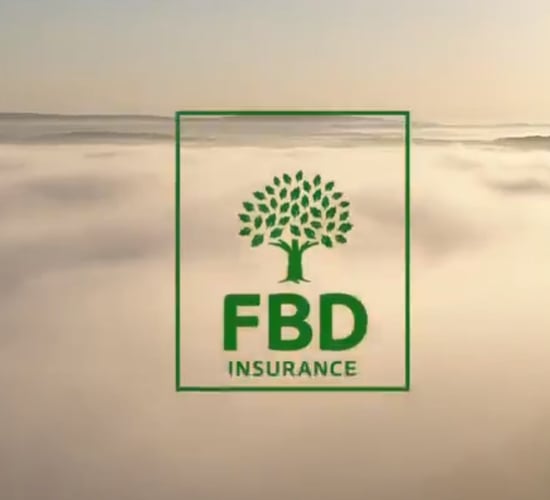 FBD postpones next month's AGM due to Covid-19