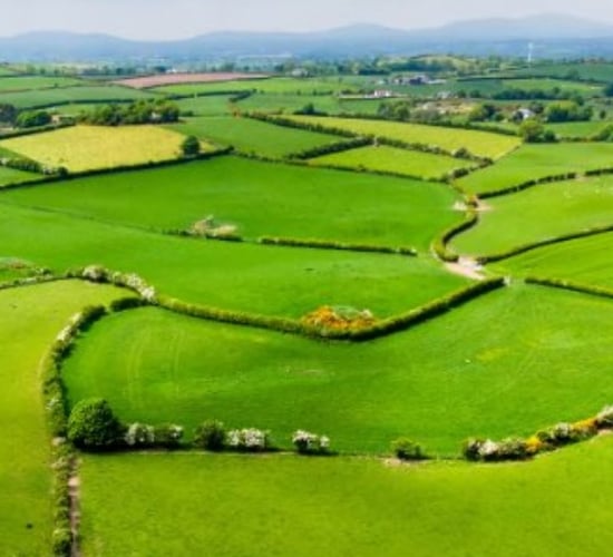Department outlines key changes in new land mapping system for payments