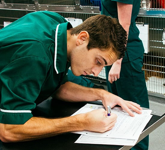 VCI gives update on regulating strict new EU vet medicine laws