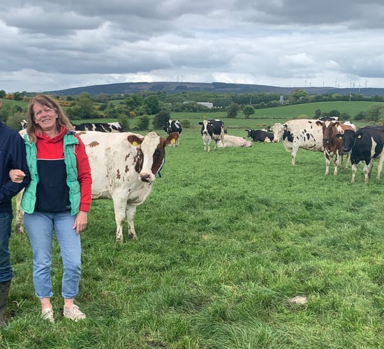 Cavan creche is class act as it imparts farm life lesson videos