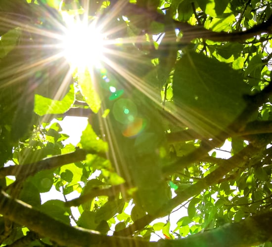 RSA warns about sun glare as high temperatures approach