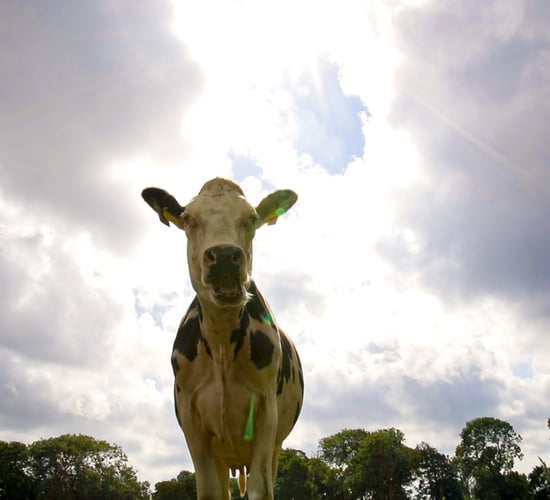 Sunsmart: How to 'save your skin' while farming in the sun