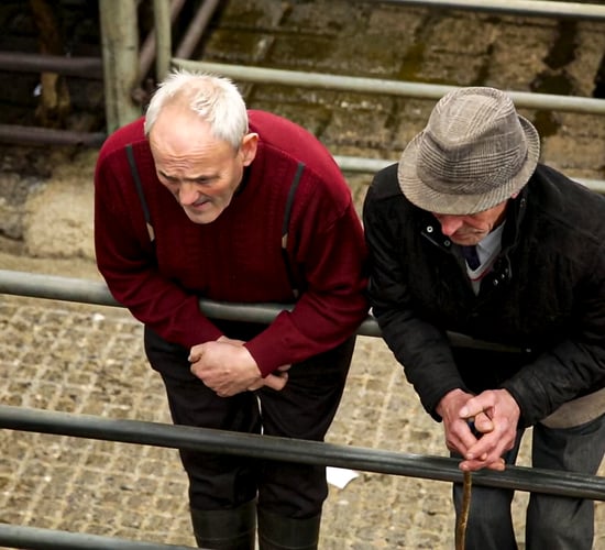 Agricultural bodies join forces to form NI Rural Health Forum
