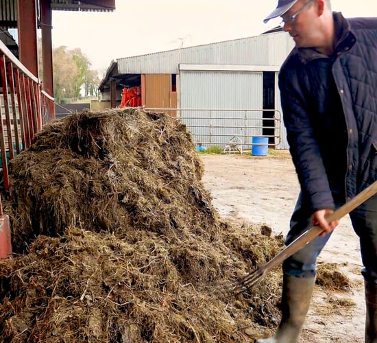 Ireland's agricultural labour productivity increased in 2024
