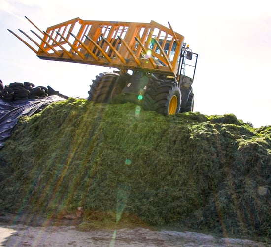Environmental considerations for silage storage