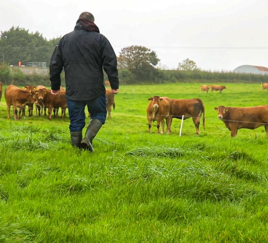 Top EU climate think tank outlines 10 steps to just transition for farmers