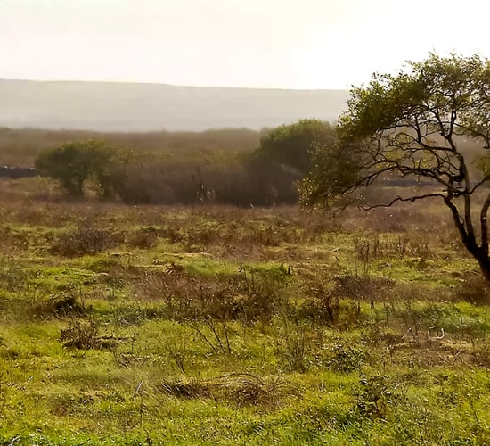 INHFA calls for 'reassessment' of designated land