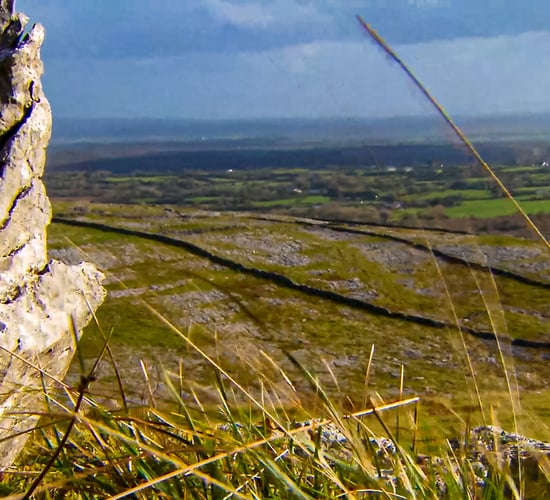 Farmer fined for destruction of limestone pavement