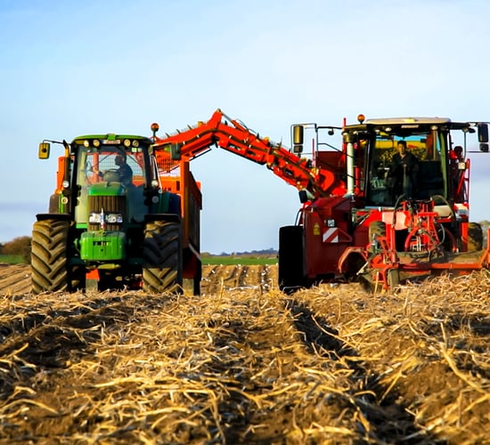 Major UK potato exhibition  planned for early September