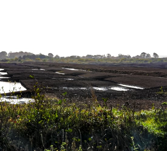 Bord na Móna announcement 'is spin doctor tactics' - TD