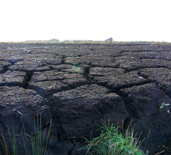 €75,000 for peatland restoration at Co. Laois bog