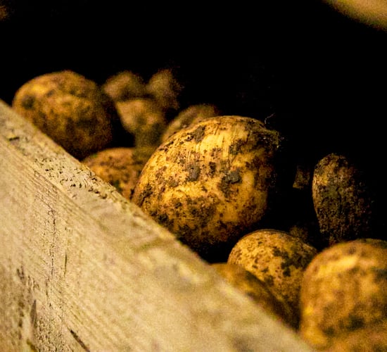 Several counties issued with yellow warning for blight