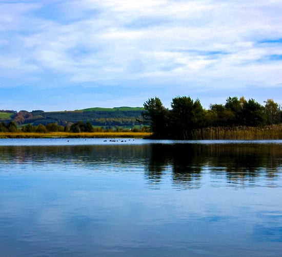 Study: Naturally occurring  lake bacteria can help remove plastic pollution