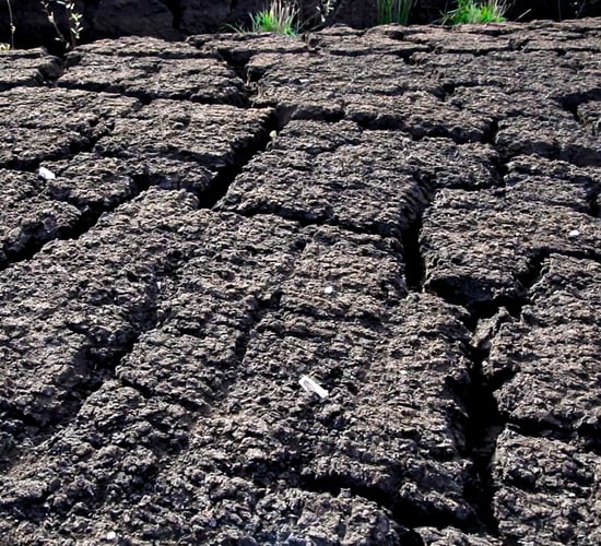 TD: Concerns around the use of Just Transition funding to import peat