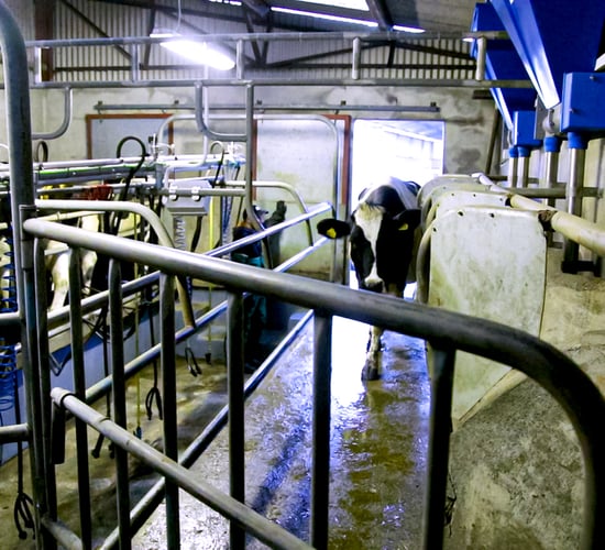 Reviewing your farm's cash flow budget