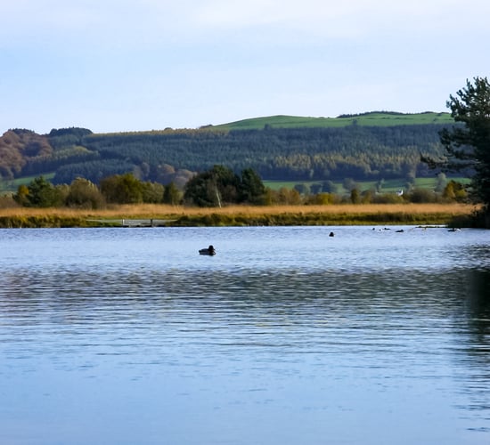 Farmers urged to keep all dogs on leads when walking around freshwater bodies