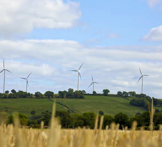 EirGrid: Wind generation essential for energy security this winter