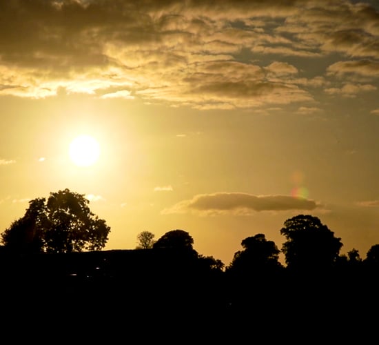 Met Éireann: High temperature advisory ahead of 'hot spell'