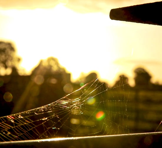 Outdoor workers urged to be 'sun smart' as weather improves