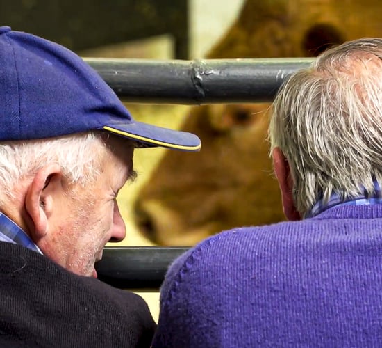 New TB testing rules described as 'a stick to beat marts'