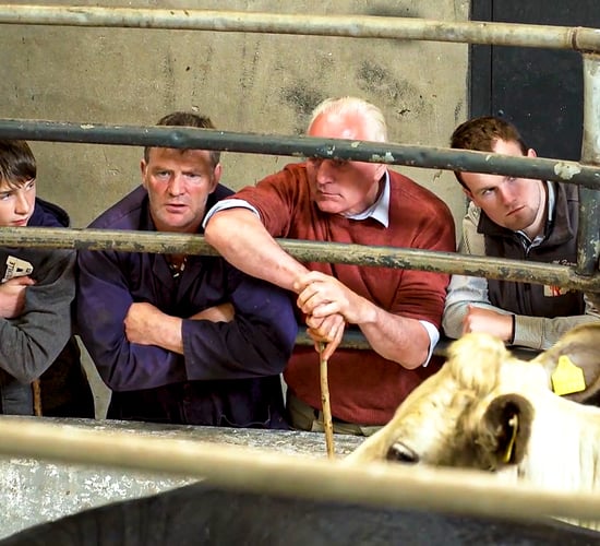 Macroom Mart appoints new mart manager
