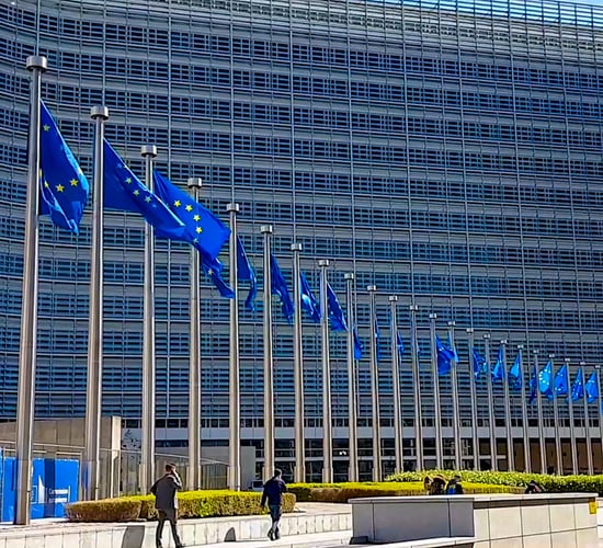 EU ministers call for further derogations to secure food production