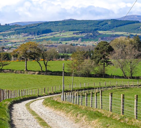 'Lots of issues' in Louth greenway Public Consultation report
