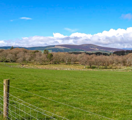 New CAP proposals described as 'effort to boost biodiversity'