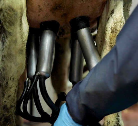 Milk recording and Johne's testing: two birds, one stone