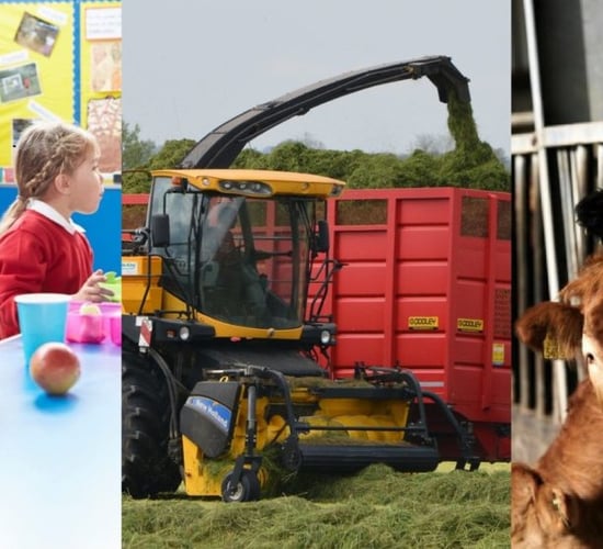 Opinion: A 'seismic impact' on Irish farming; but are we 'asleep at the wheel'?