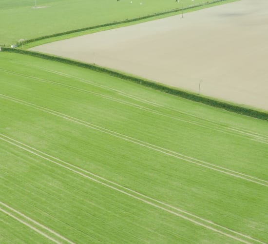 CROPS WATCH: Avoiding stress in spring barley is essential going forward