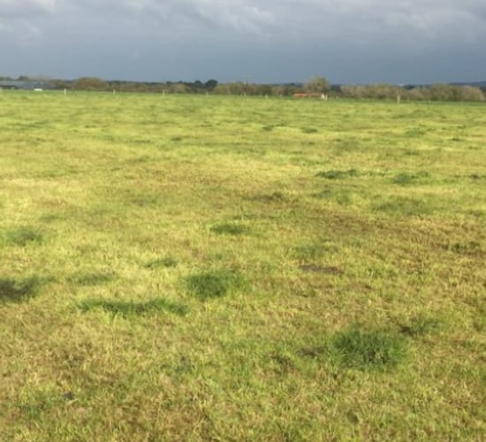 Grass growth: 'Farms that are heavily stocked are really feeling the pinch'