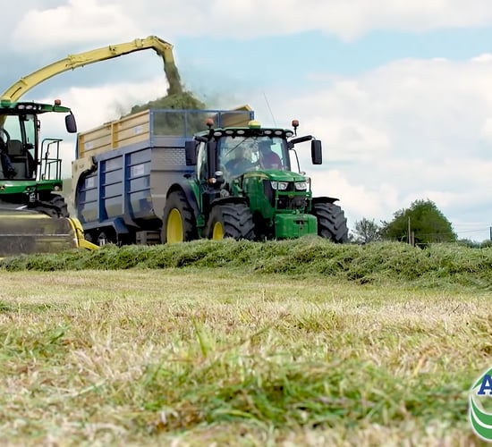 Key considerations for best practice when making silage