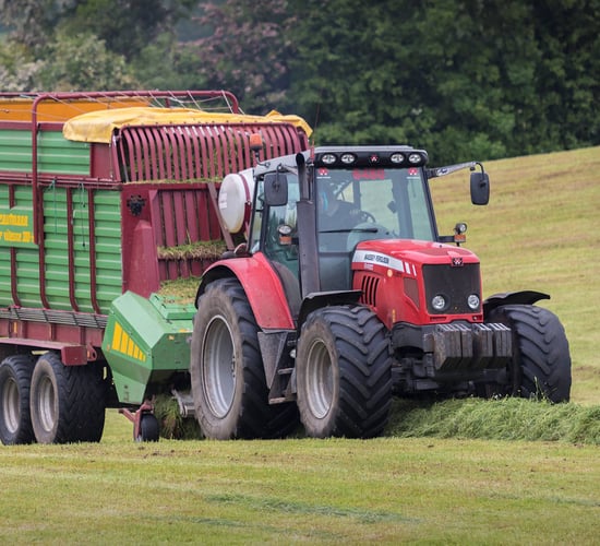 'Over the years, silage DM content has increased; but nutritional quality hasn't'