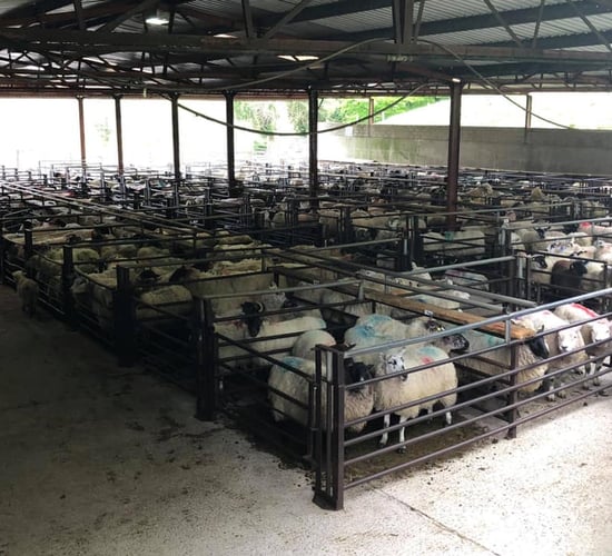 Dowra Mart cancels all sales for this week