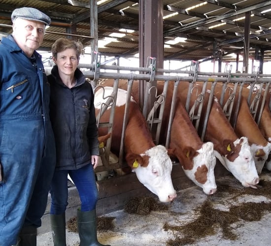 Dairy focus: Milking 60 pedigree Fleckvieh cows in Co. Laois