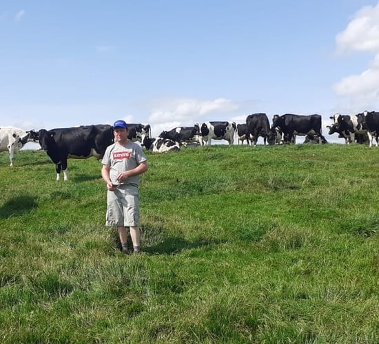 Replacing K after silage harvest is essential