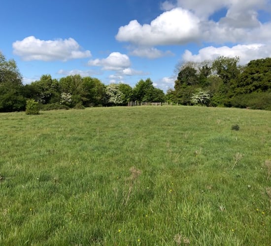 65.4ac property guiding at €5,900/ac to go for auction in Co. Kildare
