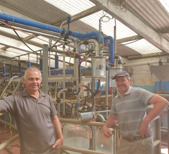 Dairy farm success with non-antibiotic approach to udder health issues