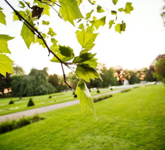 Swedish city dumps chicken manure in park to keep visitors away