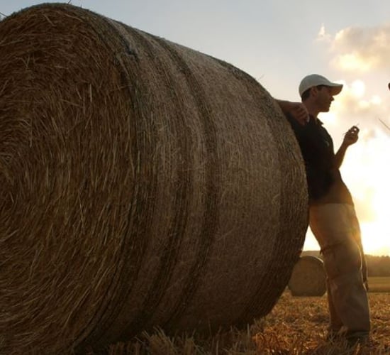 Are you using the best netwrap to improve your bottom line?
