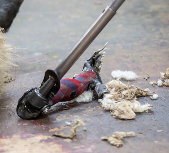 Checklist for shearers and farmers produced during Covid-19