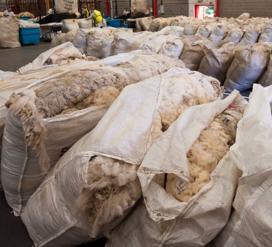 NI sheep farmers urged to 'use it or lose it' with wool board