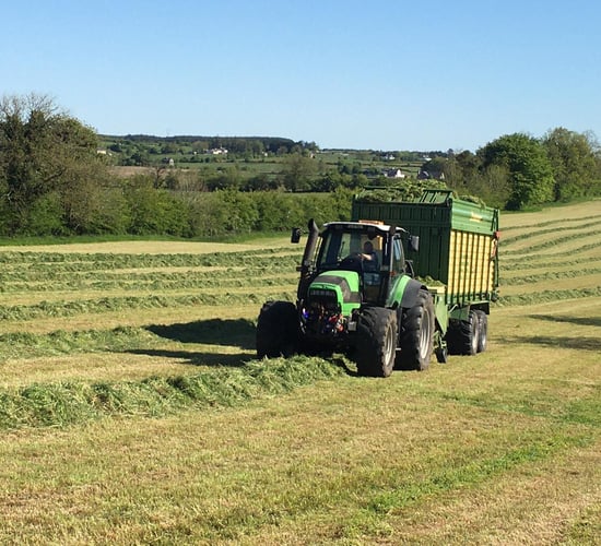 Survey results: 33% of Irish farms are financially 'vulnerable'