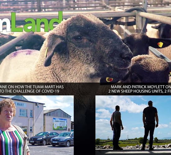 FarmLand 28th May 2020