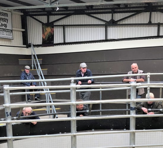 Mart managers stress need for customers to be allowed ringside