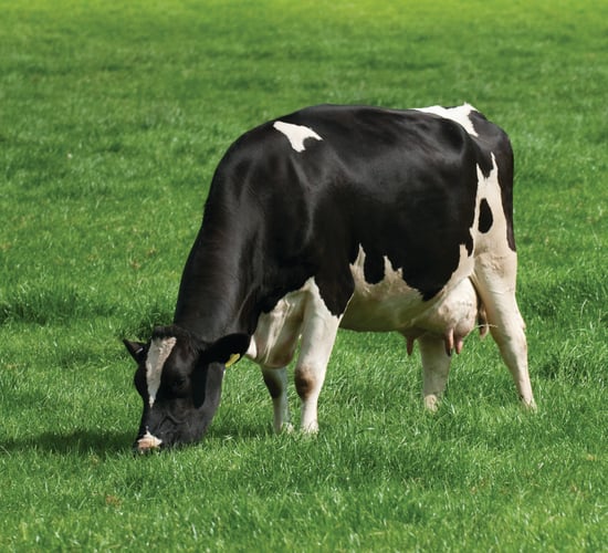 GDT drops again to mark consecutive 7 index falls