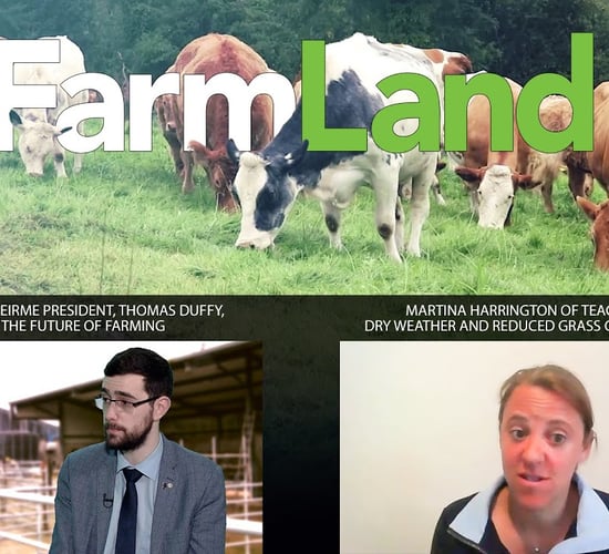 FarmLand 4th June 2020