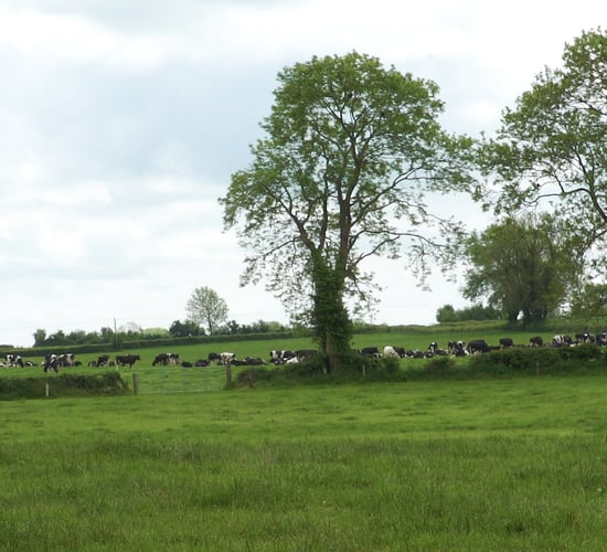 New land map can inform policy and benefit farmers