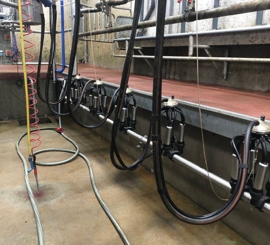 Analysis: European dairy markets continue to trend higher